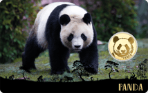 Gold Panda Münze (Auflage: 50.000)