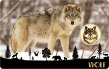 Gold Wolf Münze (Auflage: 50.000)