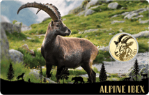 Gold Alpensteinbock Münze (Auflage: 50.000)