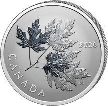 1/2 Unze Silber Gleaming Maple Leaves 2026 (Auflage: 25.000 | Reverse Proof)