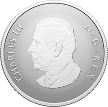 1/2 Unze Silber Kanada Welcome to the World 2026 (Auflage: 25.000 | Reverse Proof)