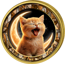 1 Unze Silber Babykatze Europäisch Kurzhaar 2025 (Auflage: 100 | teilvergoldet)