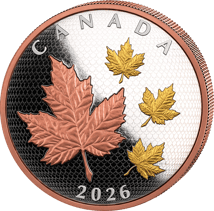 5 Unze Silber Maple Leaves in Motion 2026 (Auflage: 2.000 | teilvergoldet | Polierte Platte)