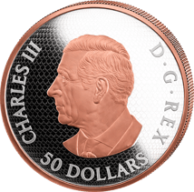 5 Unze Silber Maple Leaves in Motion 2026 (Auflage: 2.000 | teilvergoldet | Polierte Platte)