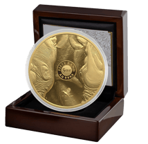 5 Unze Gold Big Five III Nashorn 2025 (Auflage: 50 | Polierte Platte)