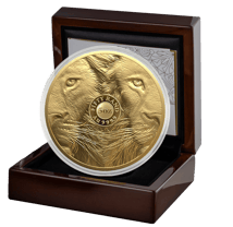 5 Unze Gold Big Five III Löwe 2025 (Auflage: 50 | Polierte Platte)