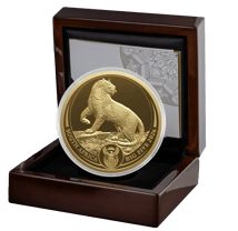 1 Unze Gold Big Five III Leopard 2026 (Auflage: 500 | Polierte Platte)