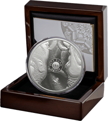 1 kg Silber Big Five III Nashorn 2025 (Auflage: 100)
