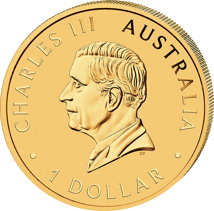 1 oz Silver 40 Years Australian Nugget Hobart ANDA 2026 (Mintage: 2,000 | gold-plated)