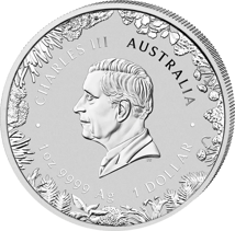 1 Unze Silber Wonders of Australia The Outback 2026 (Auflage: 75.000 | Stempelglanz)