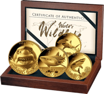 Gold Kongo World's Wildlife Hai Set 2026 (Auflage: 300 | Polierte Platte)