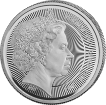1 Unze Platin Porträt Queen Elizabeth II. Ian Rank-Broadley Effigy 2026 (Auflage: 75 | Polierte Platte)