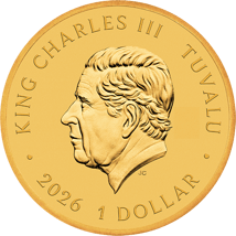 Stranger Things Hawkins Collector Coin 2025 (Auflage: 5.000)