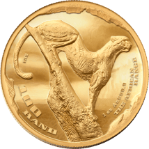 1 Ounce Gold African Range Cheetah 2026 (Mintage: 500 | High Relief | Proof)