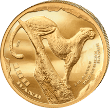 1 Unze Gold African Range Cheetah 2026 (Auflage: 500 | High Relief | Polierte Platte)