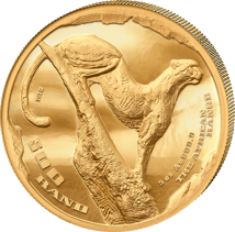 5 oz Gold African Range Cheetah 2026 (Mintage: 50 | High Relief | Proof)