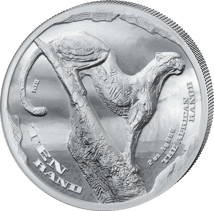 2 Unze Silber African Range Cheetah 2026 (Auflage: 2.000 | High Relief | Polierte Platte)