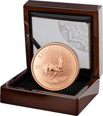 1 Unze Gold Krügerrand Reverse Proof 2026 (Auflage: 500 | Polierte Platte Motiv)