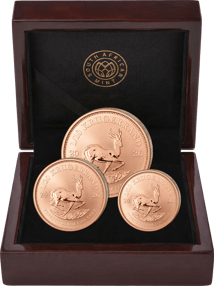 Krügerrand 3 Münzen Fractional Set Reverse Proof 2026 (Auflage: 400 | Polierte Platte Motiv)