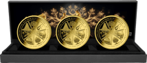 Gold Altes Testament Bibel Set 2026 (Auflage: 200 | Polierte Platte)