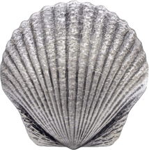1 oz Silver Castaway Seashells Scallop 2019 (Mintage: 1,000 | Antique Finish)