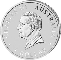 1 Unze Silber Koala Brisbane Money Expo 2026 (Auflage: 2.500 | Coloriert)