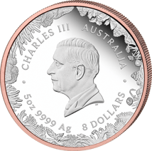5 Unze Silber Wonders of Australia Känguru 2026 (Auflage: 500 | beidseitig vergoldet | Polierte Platte)