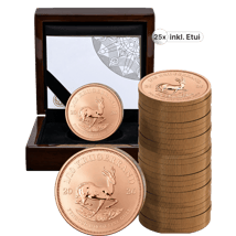 25 x 1/10 Unze Gold Krügerrand Reverse Proof 2026 (Auflage: 500 | Polierte Platte Motiv)