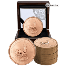 10 x 1/10 Unze Gold Krügerrand Reverse Proof 2026 (Auflage: 500 | Polierte Platte Motiv)