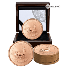 5 x 1/10 Unze Gold Krügerrand Reverse Proof 2026 (Auflage: 500 | Polierte Platte Motiv)