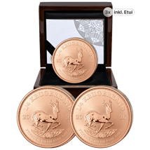 3 x 1/4 Unze Gold Krügerrand Reverse Proof 2026 (Auflage: 500 | Polierte Platte Motiv)