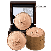 10 x 1/2 Unze Gold Krügerrand Reverse Proof 2026 (Auflage: 500 | Polierte Platte Motiv)