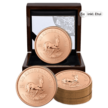 5 x 1/2 Unze Gold Krügerrand Reverse Proof 2026 (Auflage: 500 | Polierte Platte Motiv)