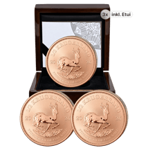 3 x 1/2 Unze Gold Krügerrand Reverse Proof 2026 (Auflage: 500 | Polierte Platte Motiv)