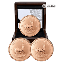 3 x 1 Unze Gold Krügerrand Reverse Proof 2026 (Auflage: 500 | Polierte Platte Motiv)