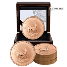 5 x 1 Unze Gold Krügerrand Reverse Proof 2026 (Auflage: 500 | Polierte Platte Motiv)