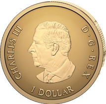0,5g Gold Iconic Maple Leaf 2026 (Auflage: 20.000 | Reverse Proof)