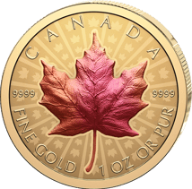 1 Unze Gold Maple Leaf 2026 (Auflage: 550 | Ultra High Relief | Reverse Proof)