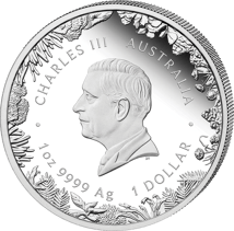 1 oz Silver Wonders of Australia The Outback 2026 (Mintage: 5,000 | Proof)