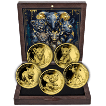 Gold African Big Five Baby Set 2026 (Auflage: 250 | Polierte Platte)