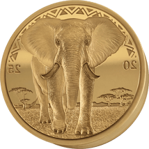 Prägestempel 1 Unze Silber African Animals Elefant 2025 (vergoldet)