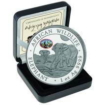 1 Unze Silber Somalia 100 Shilling Elefant ANA African Wildlife 2026