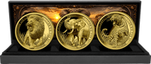 African Big Five – 3er Goldset 2026 (Auflage: 100 | Polierte Platte)