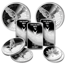Silver Starter Package S