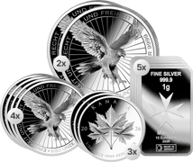 Silver Starter Package M