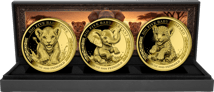 African Baby Big Five – 3er Goldset 2026 (Auflage: 250 | Polierte Platte)