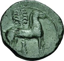Bronzemünze aus Karthago (400-350 v. Chr. | Geburtsstadt von Hannibal Barkas)