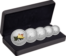 5 Münzen Silber Maple Leaf Fractional Set 2027 (Auflage: 3.500 | Reverse Proof)
