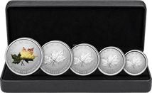 5 Münzen Silber Maple Leaf Fractional Set 2027 (Auflage: 3.500 | Reverse Proof)