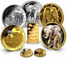 Giants with Heart - Elephant Prestige Collection